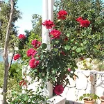 Tri Sestre Gasthof Dubrovnik