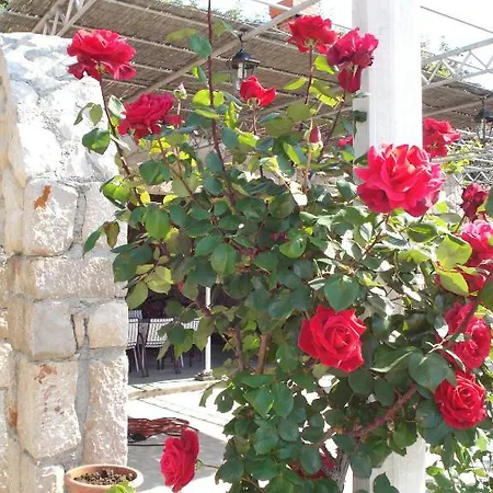 Tri Sestre Guest house