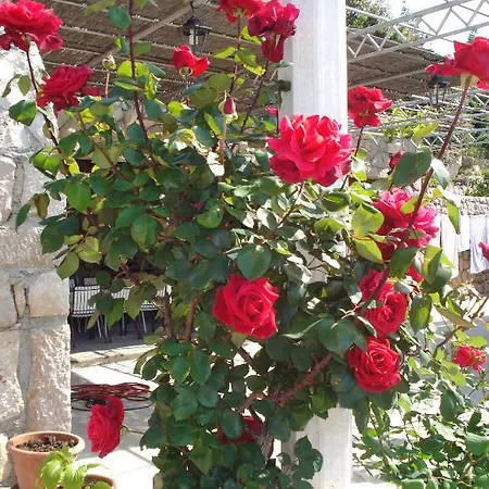 Guest house Tri Sestre Dubrovnik