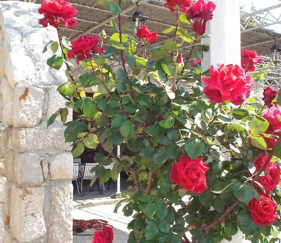 Tri Sestre Maison d'hôtes