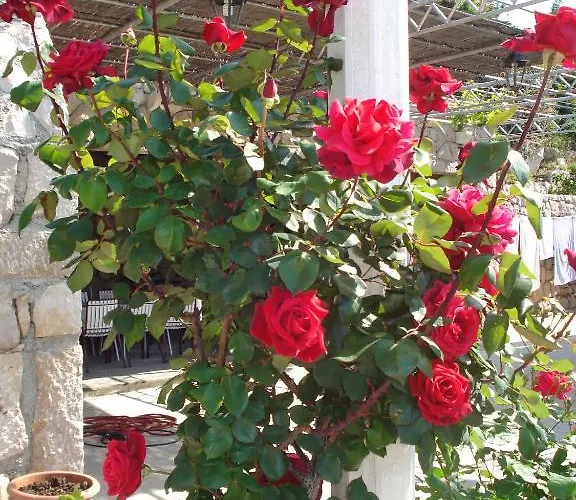 Maison d'hôtes Tri Sestre Dubrovnik