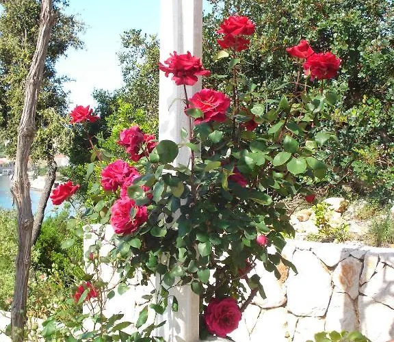 Tri Sestre Guest house Dubrovnik