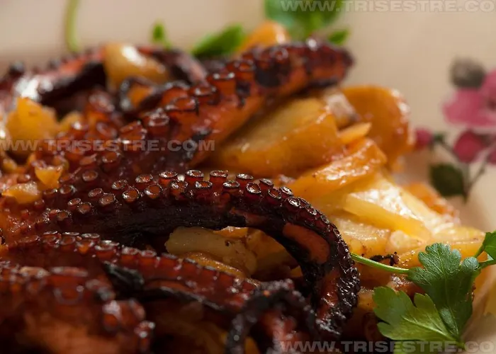 Maison d'hôtes Tri Sestre